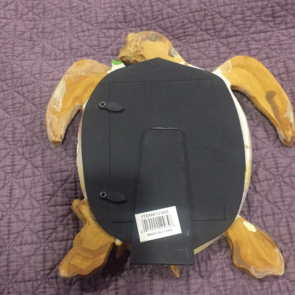 Turtle Frame - Picture 5 of 6